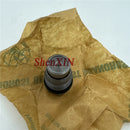 Fuel Rail Pressure Relief Valve OEM 1110010028 For Cumminss Nissann Patrol Chrysler Voyager Fordd Ranger Mazdaa BT-50 Jeepp