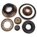 AL4  Automatic Transmission Piston Repair Piston Kits For Peugeot 206 207 307 308 406-408 Citroen C4 C5 Renault Scenic 2000-UP