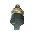 OEM 0281002739 0281002738 13537801656 Pressure Control Valve For BMW